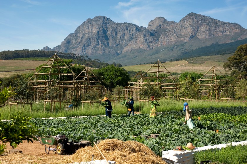Ferme BabylonStoren.jpg