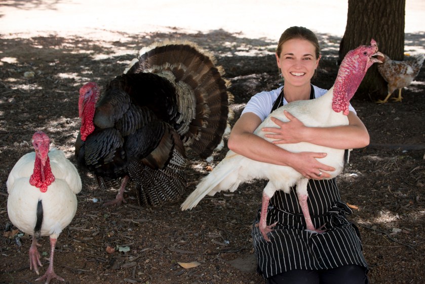 Ferme BabylonStoren10.jpg