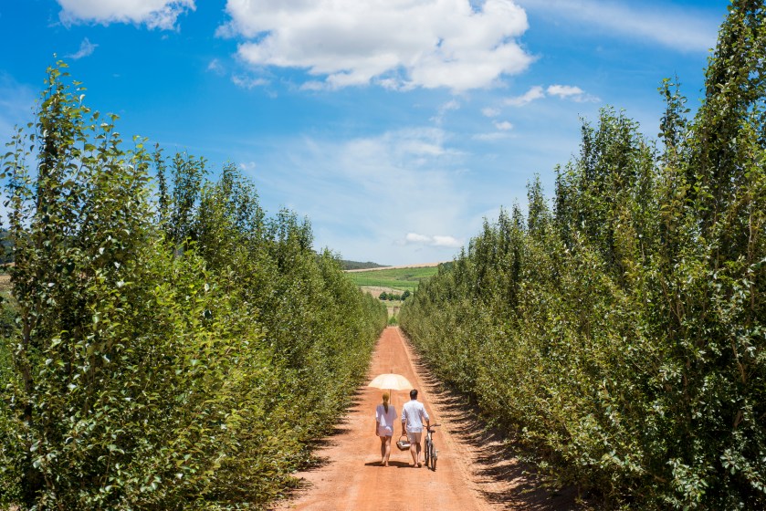 Ferme BabylonStoren9.jpg